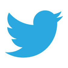 light blue bird on white background - Twitter icon